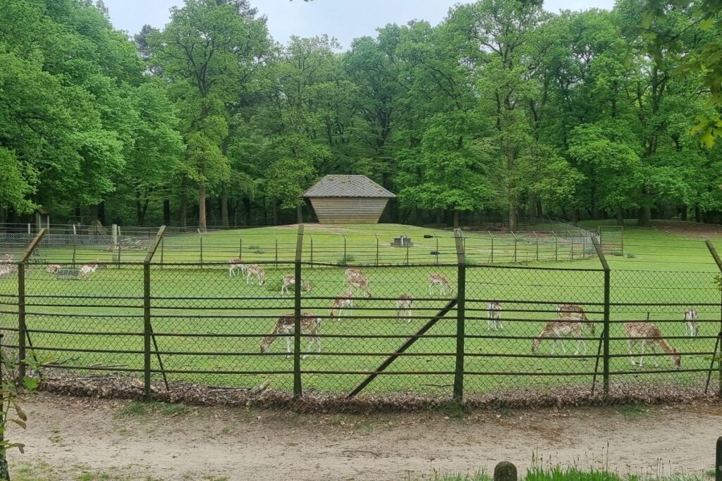 hertenkamp zeist