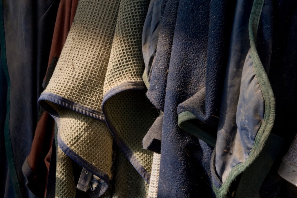 paardenmarkt stichting paardenkamp