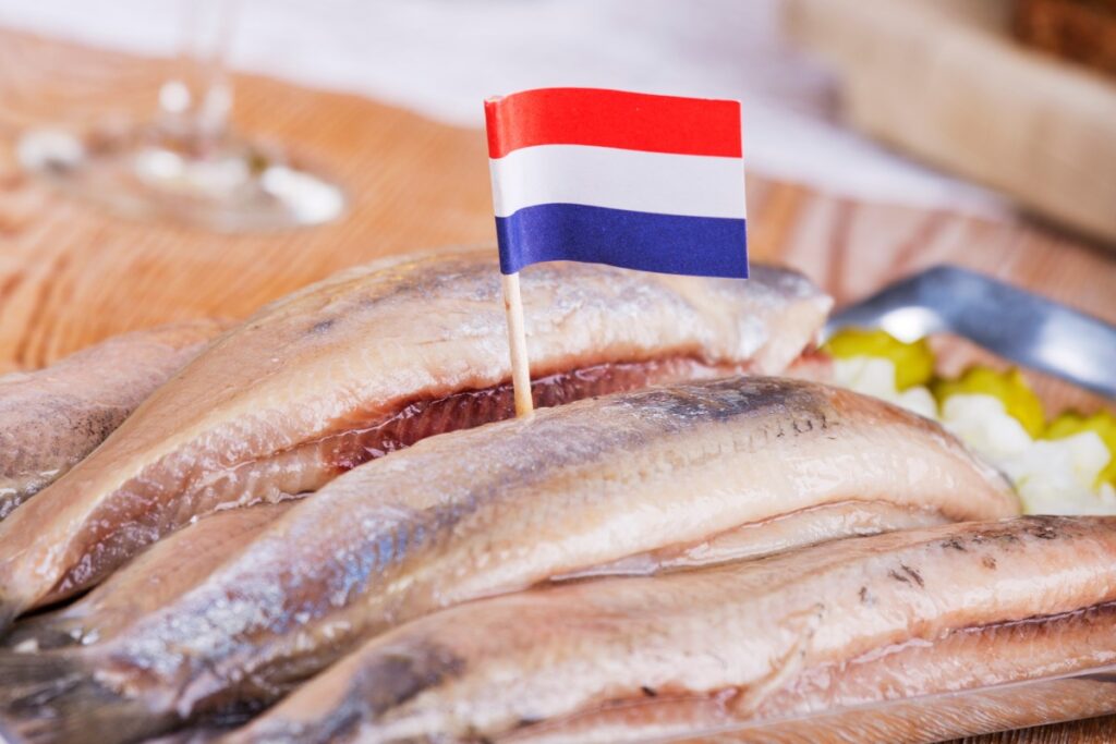 hollandse nieuwe vishandel vossole