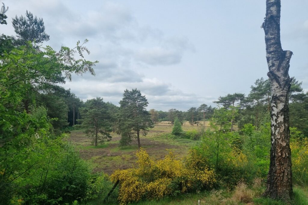 wandelroute kozakkenput zeist