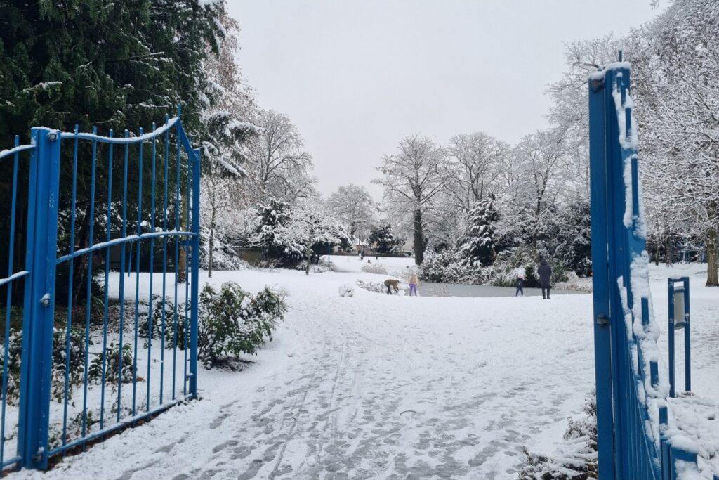 walkartpark winter