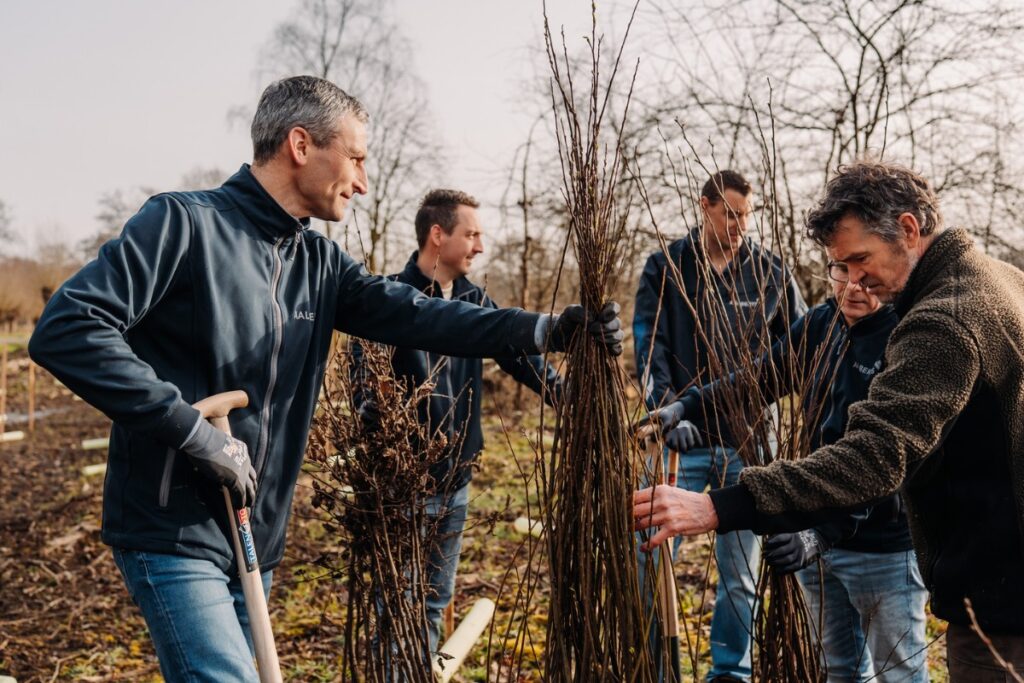 bomen gepland