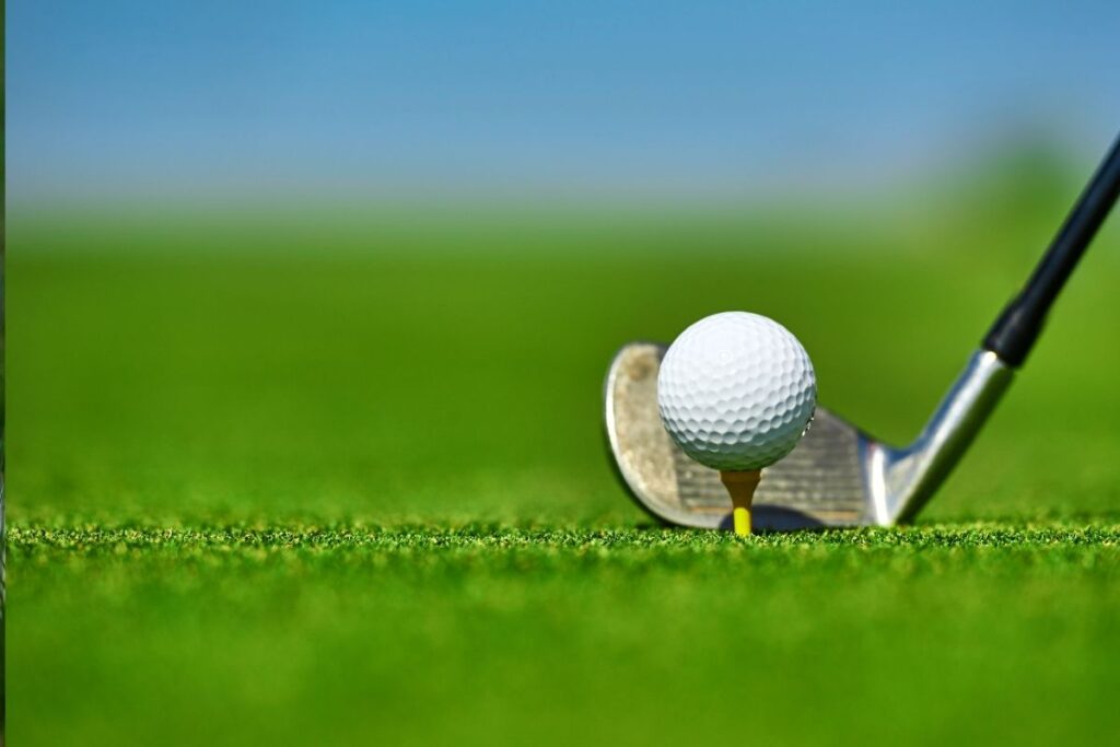 golf dierentehuis zeist