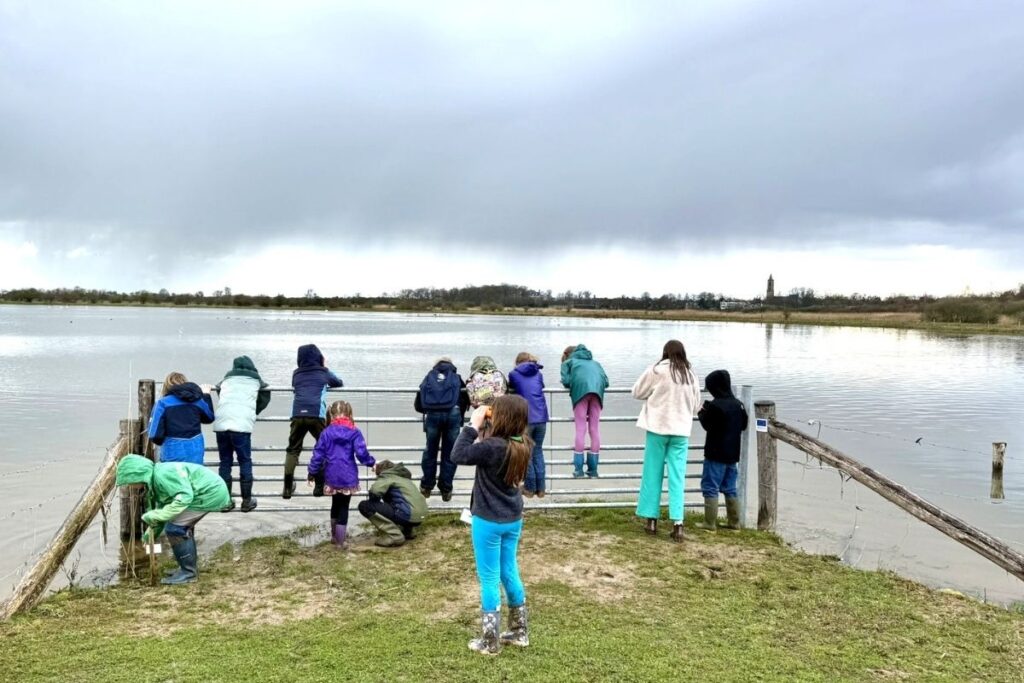 ivn scharrelkids